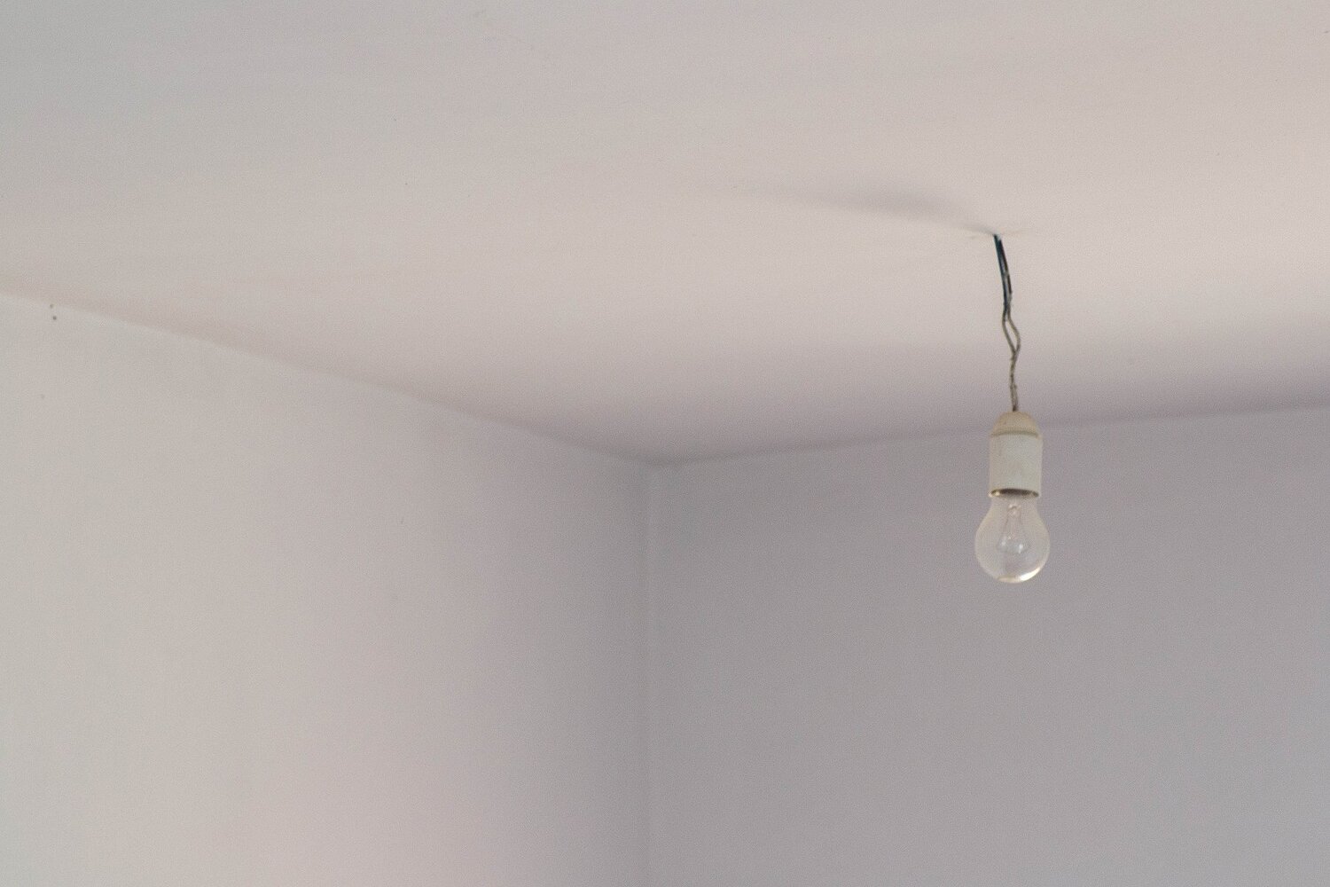 conceptual light bulb
