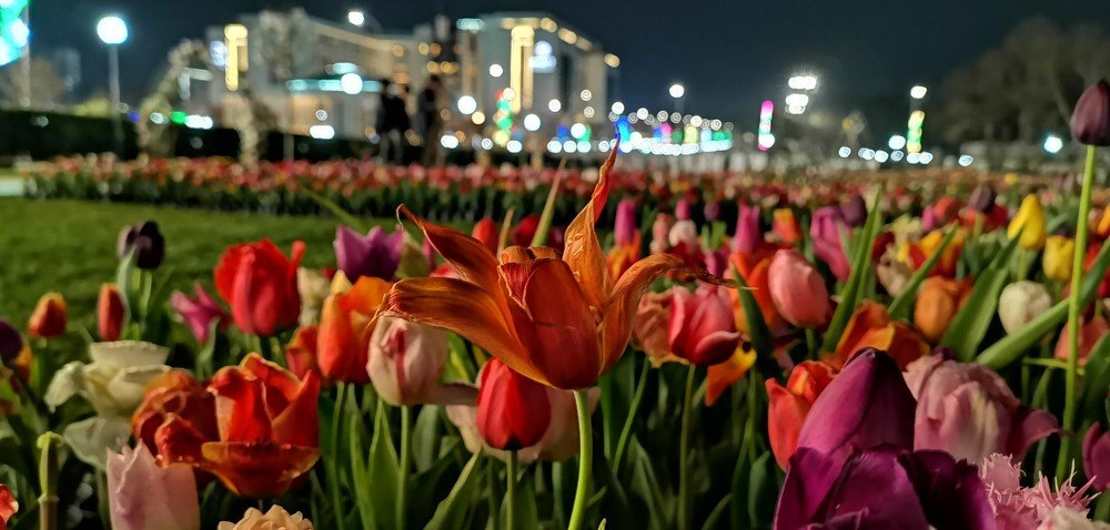 Навруз в Ташкенте