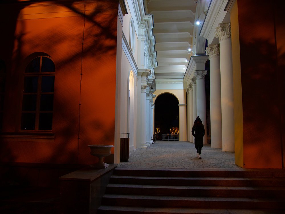 Ворота в ночь