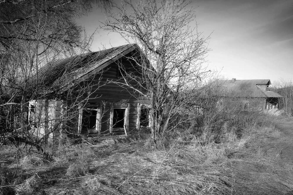 Хозяин вернись! Мне без тебя плохо ( с )