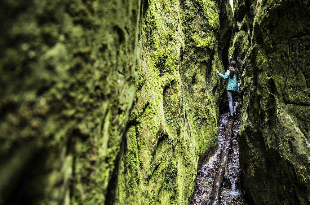 Photograph by Антон Литвин