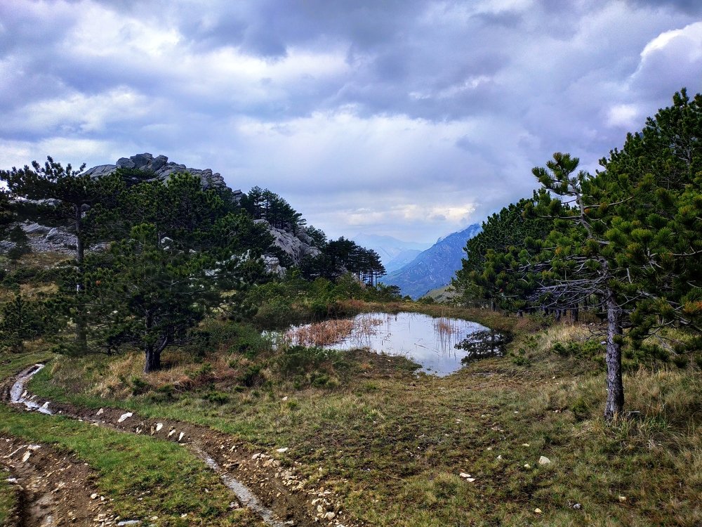 Mountain beauty