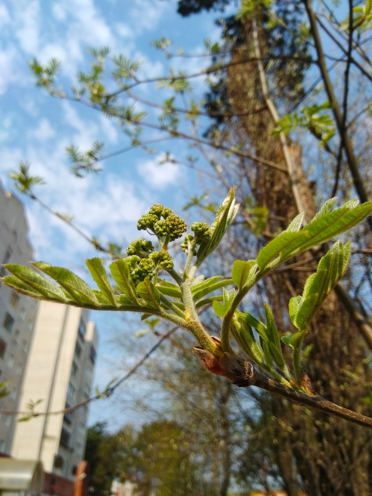 Весна в городе