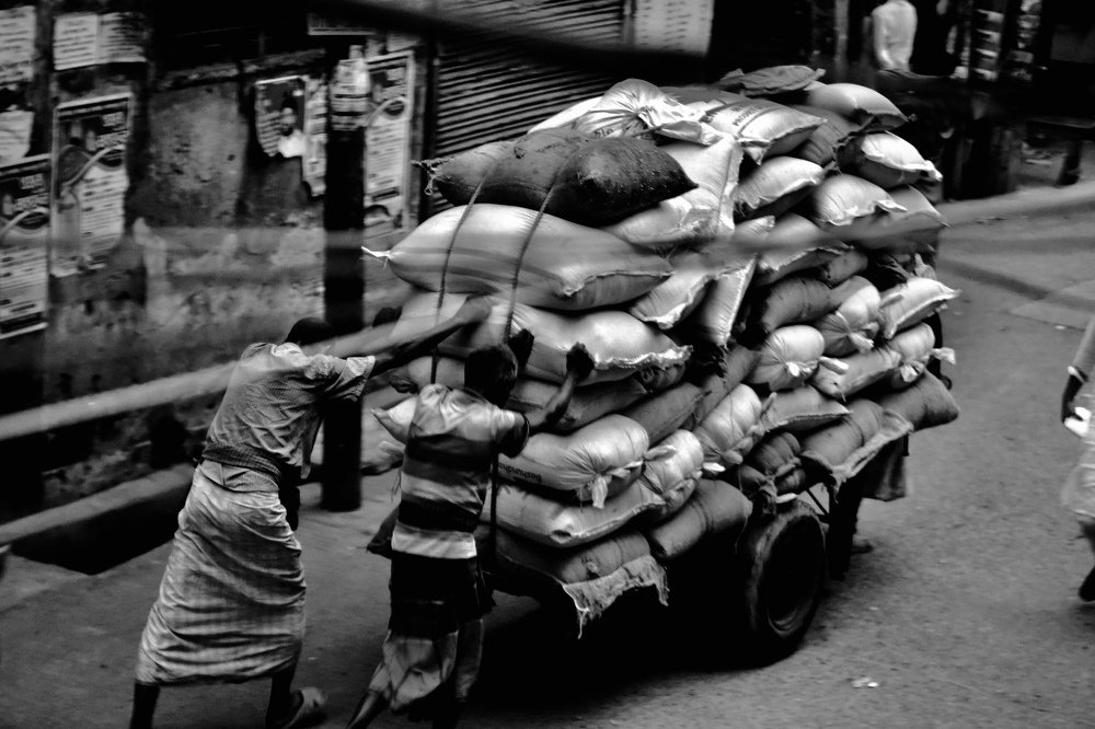 Photograph by  MD RIZWANULLAH SHUVO