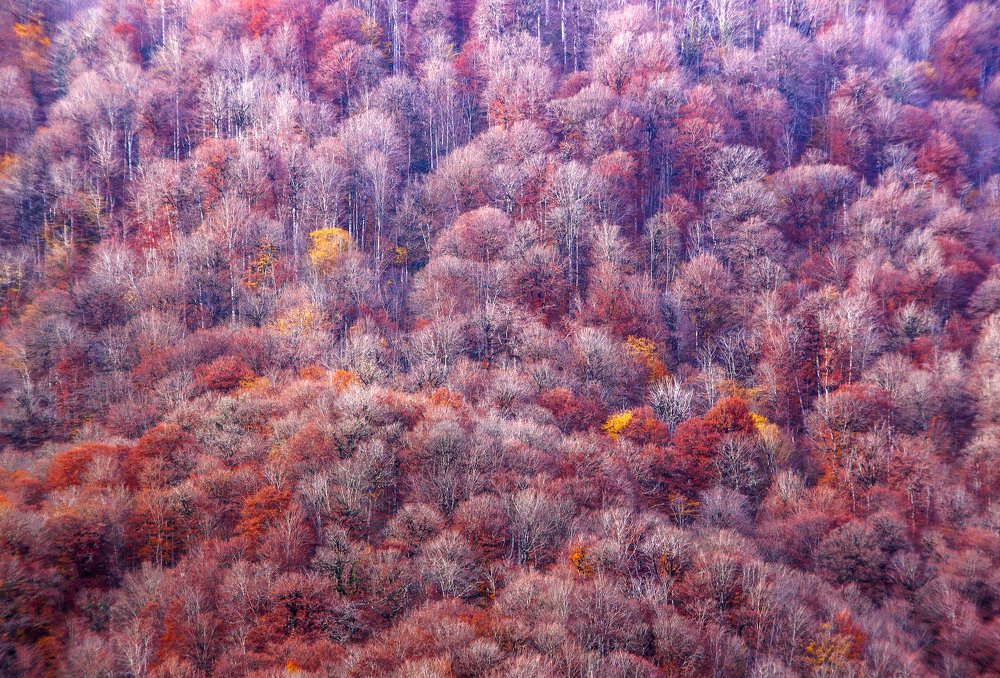 Осенние обои