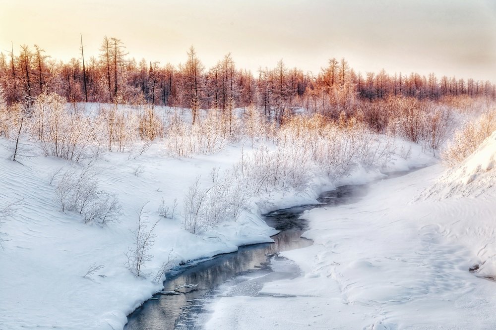 Photograph by Антон Кривошейцев