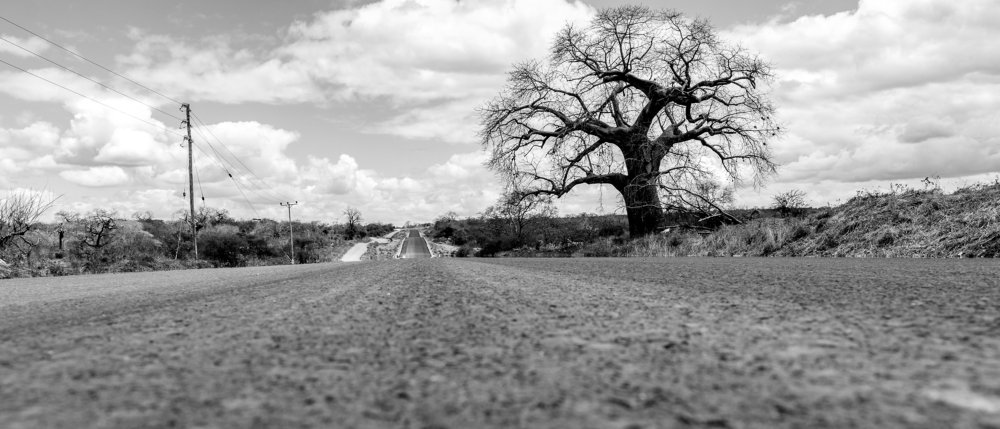 The long Lonely road