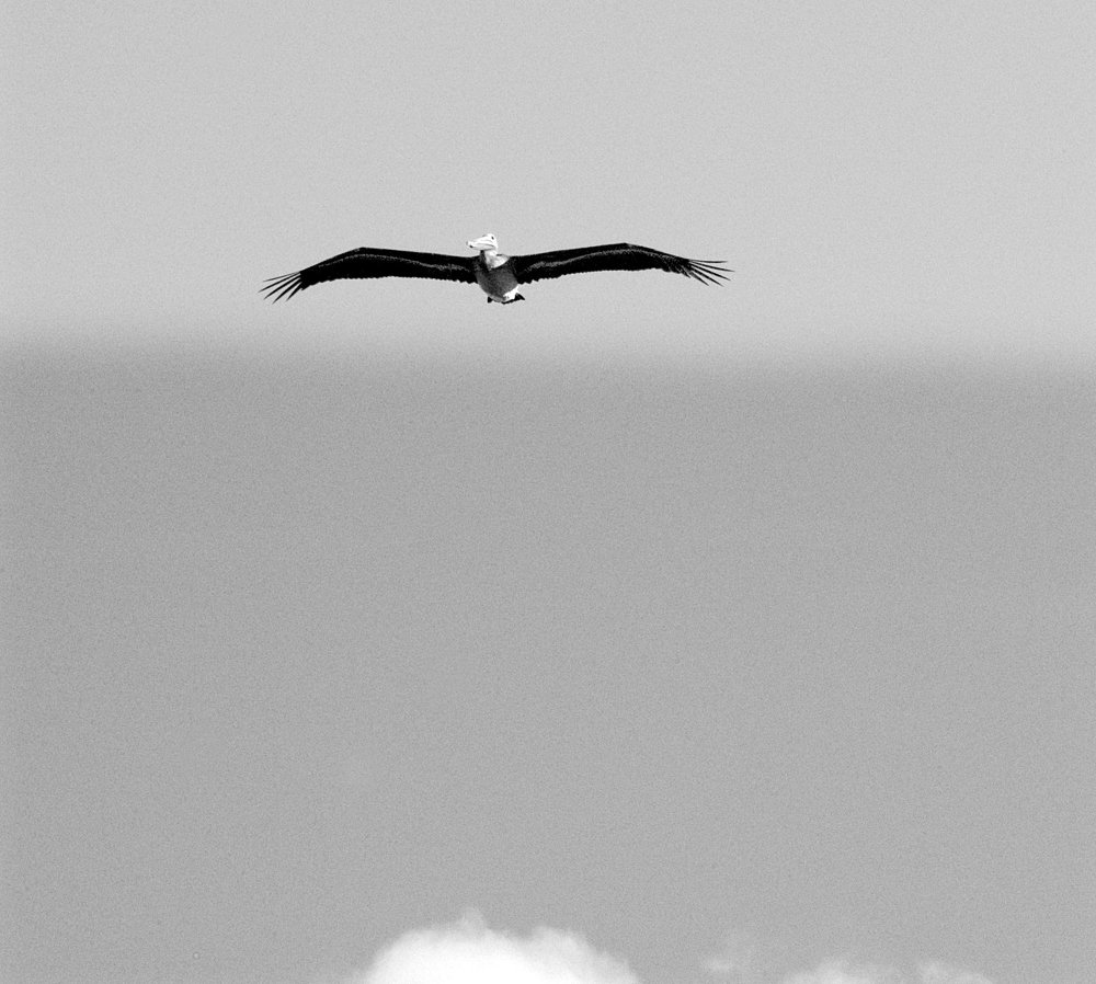 С Богом наровне