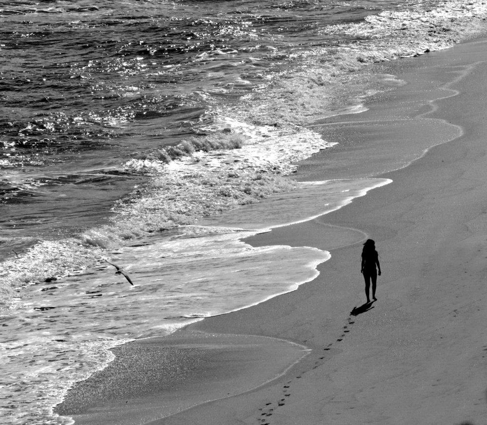 Своей дорогой