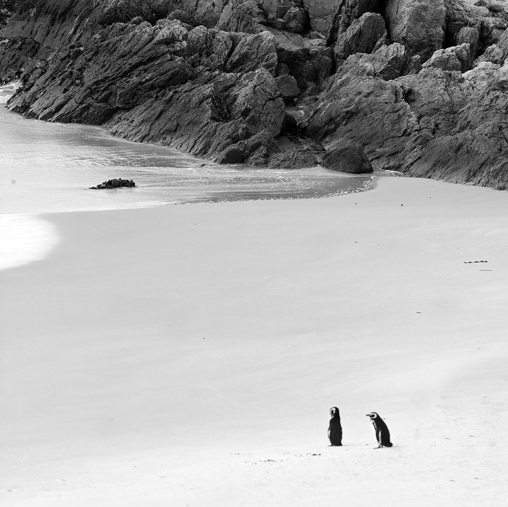 Не вернется он, забудь