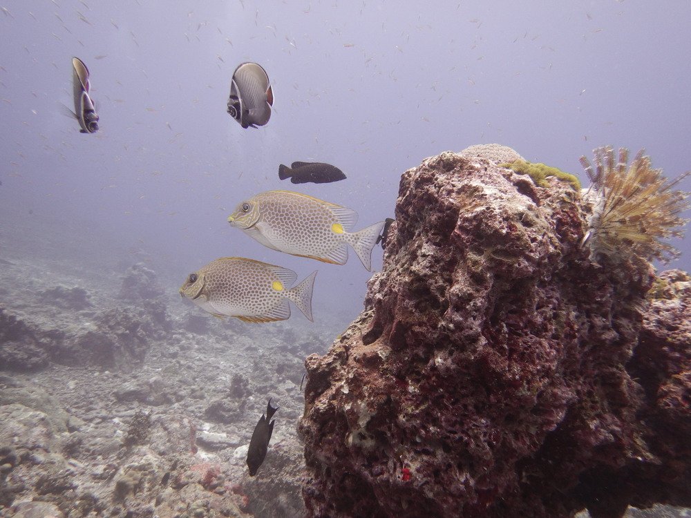 Photograph by Вячеслав Мартынов