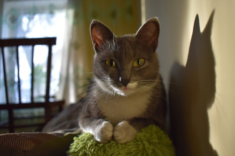 Photograph by Тогжан Таминбаева