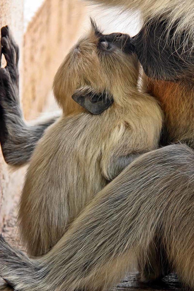 Тепло и сытно