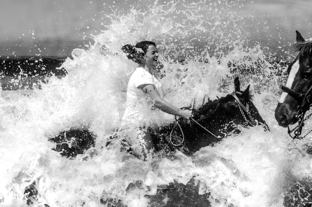 Surfing horses
