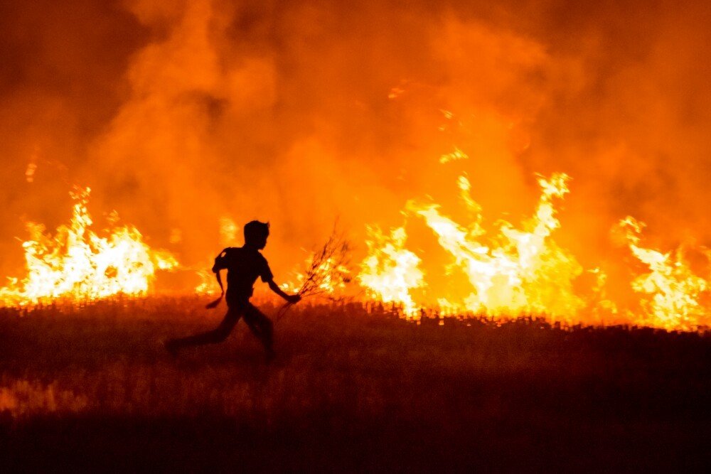 " Farmer's Little Son "