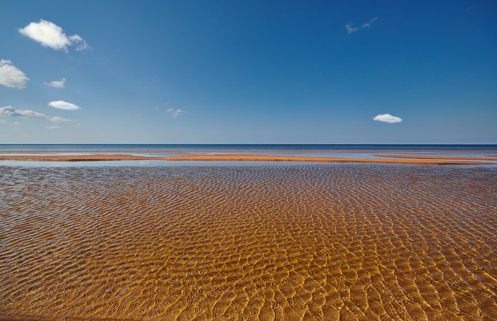 Чешуйчатость