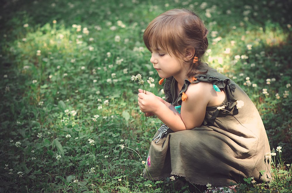 На лесной полянке