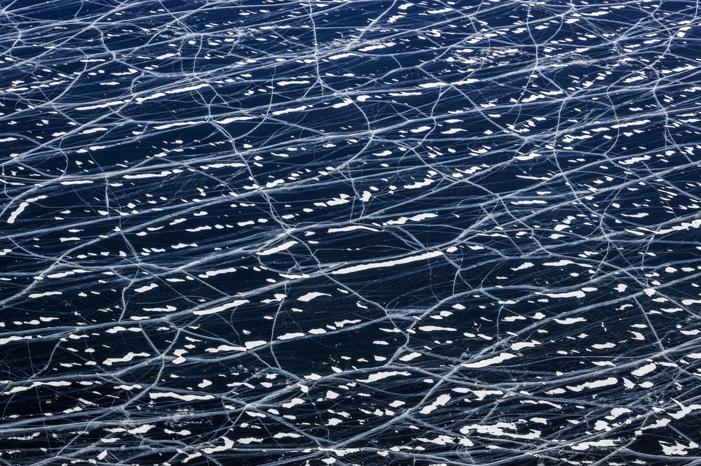 Ноты природы