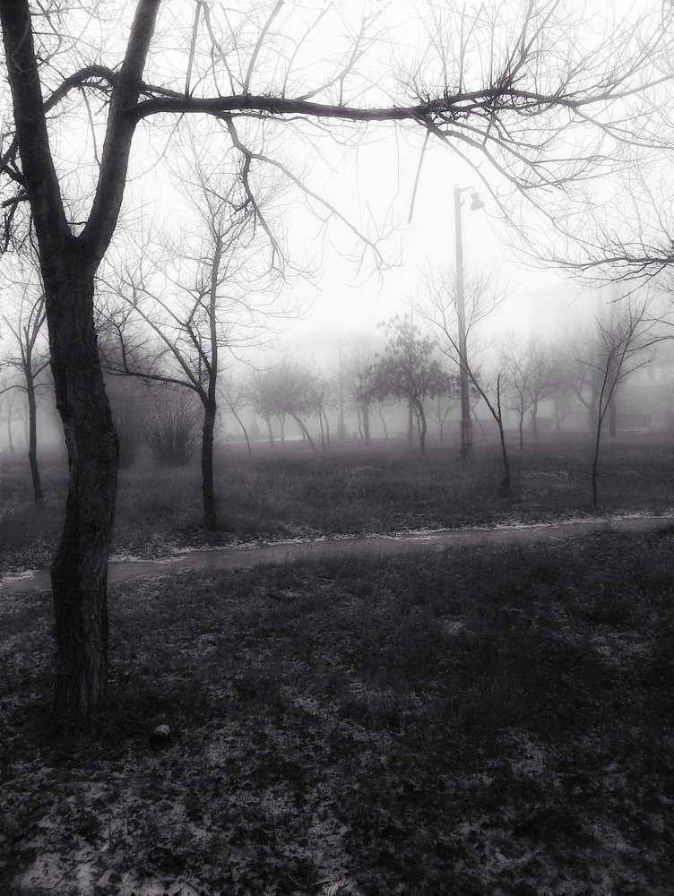 Photograph by Людмила М