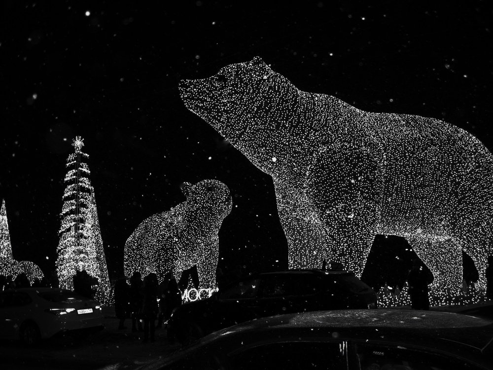 Photograph by Людмила М