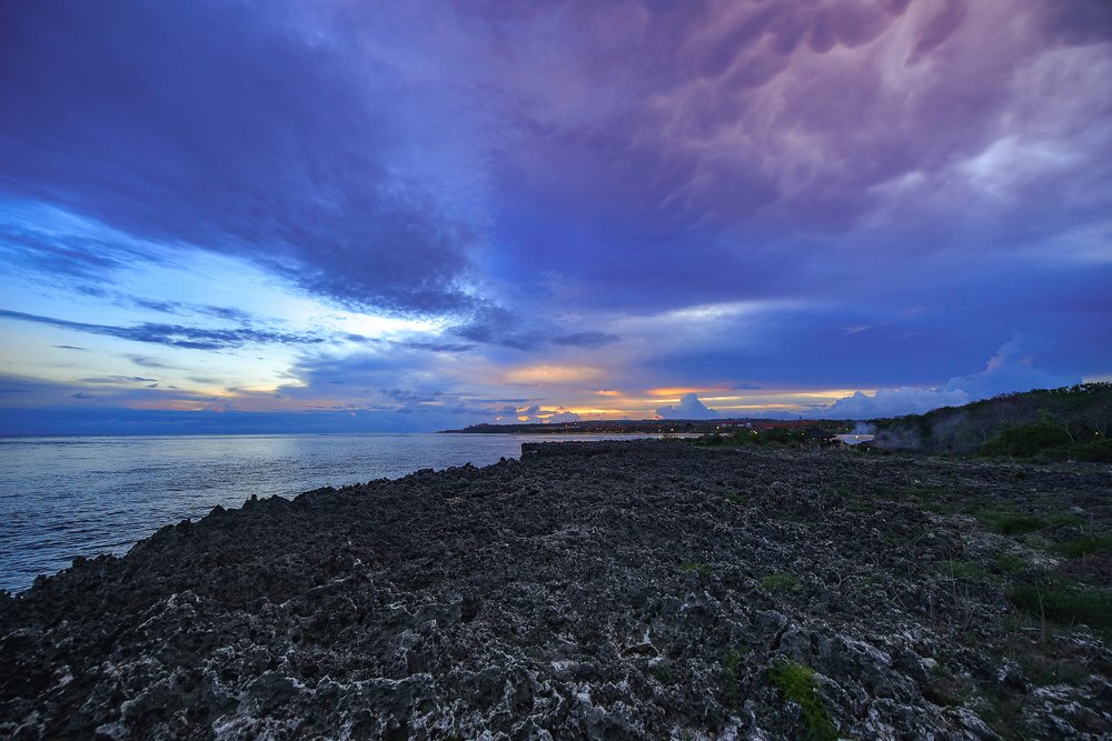 The Remaining Lights