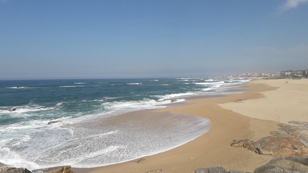 Photograph by Mónica Silva