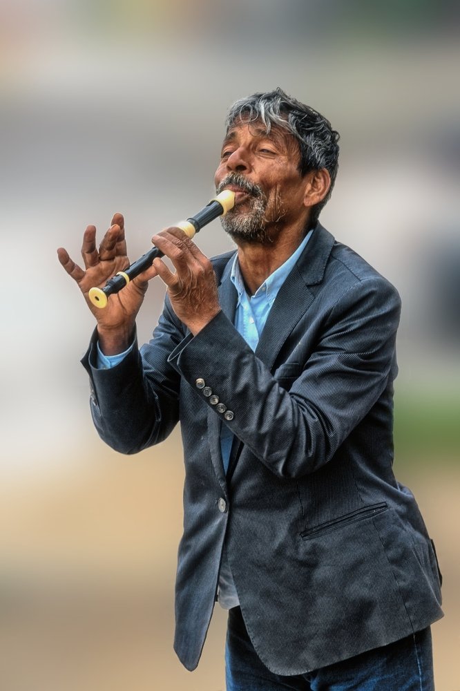 Jouer avec les oiseaux