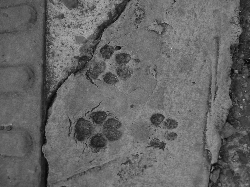 Footprints