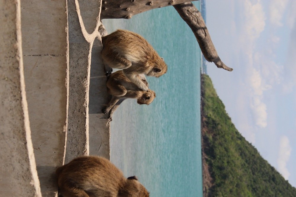 Фотография автора Инна Шикина