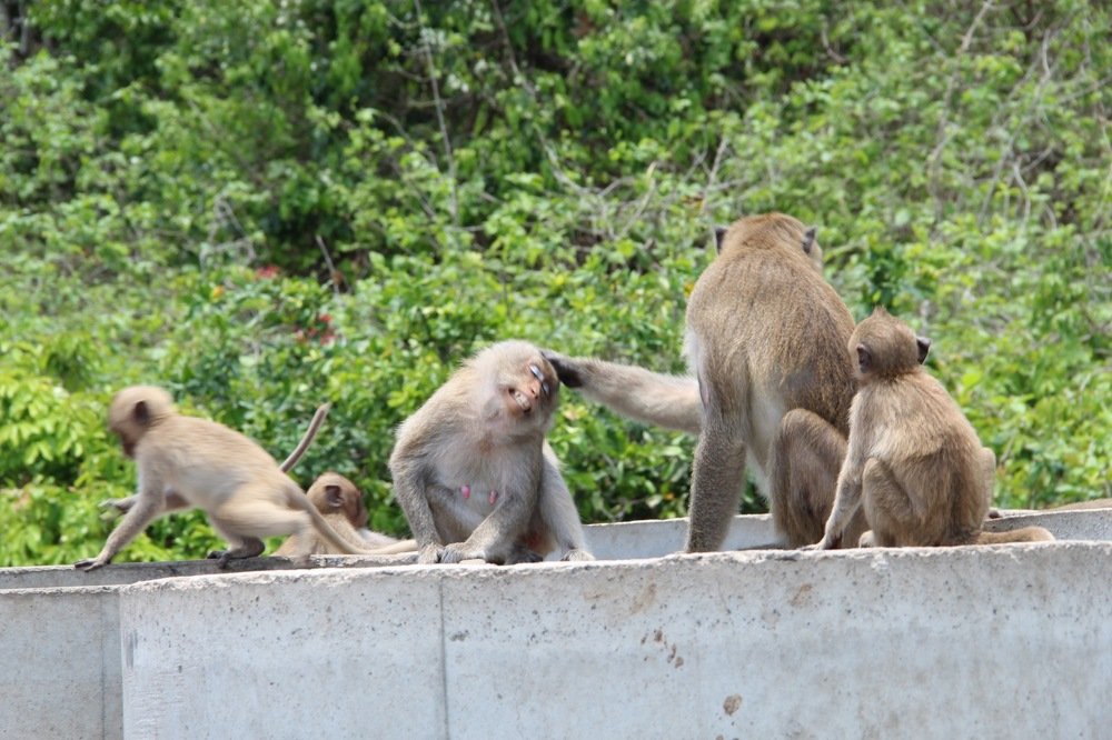 Фотография автора Инна Шикина