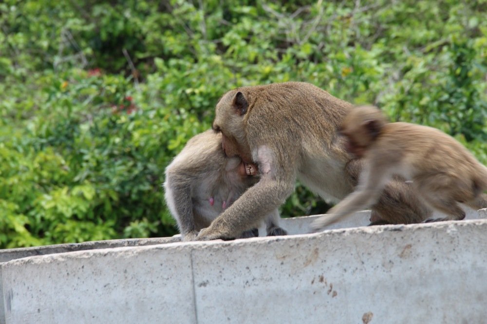 Фотография автора Инна Шикина