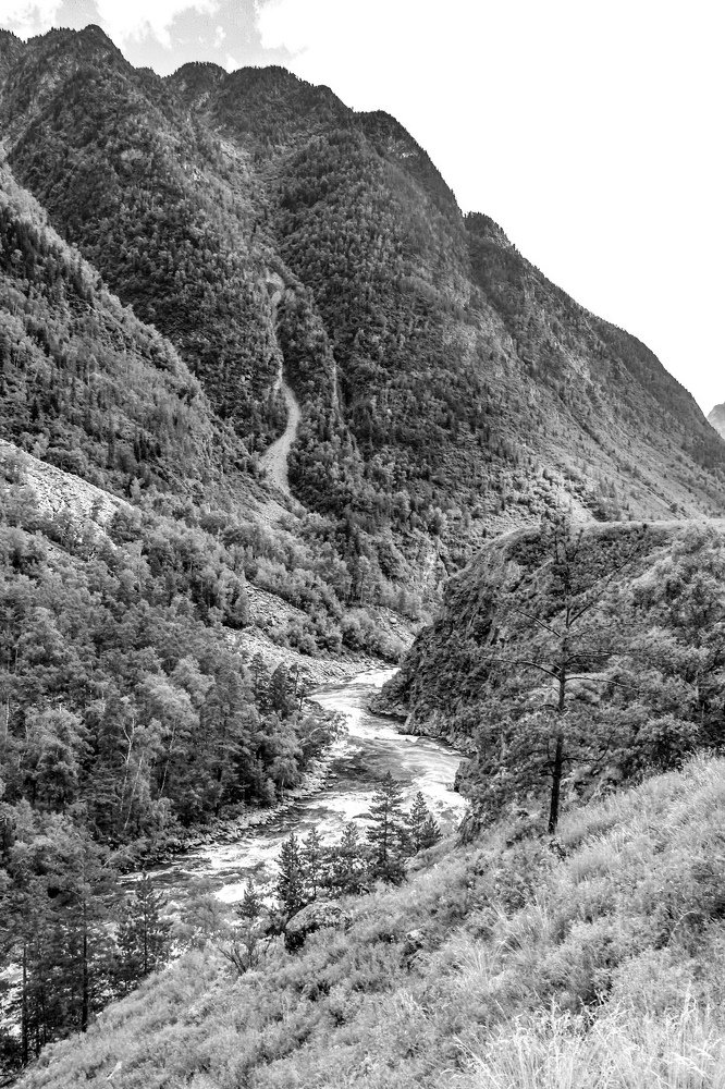 Фотография автора Инна Шикина