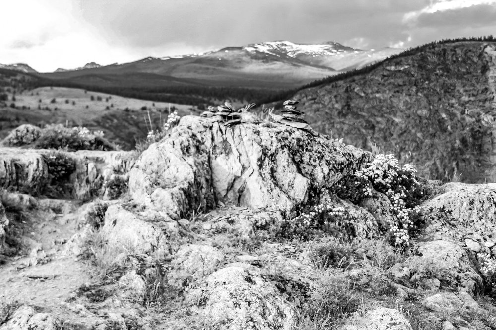 Фотография автора Инна Шикина