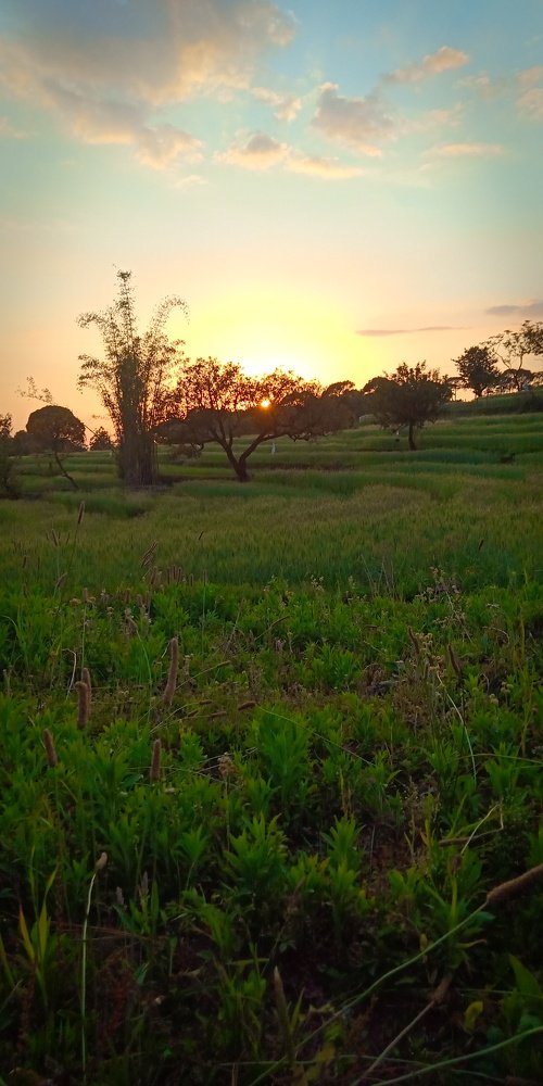 Photo #3180808