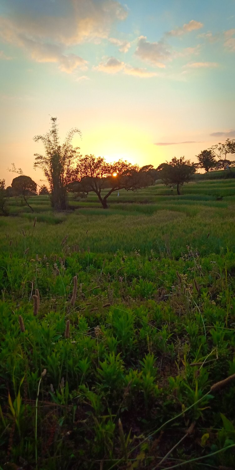 Photo #3180808