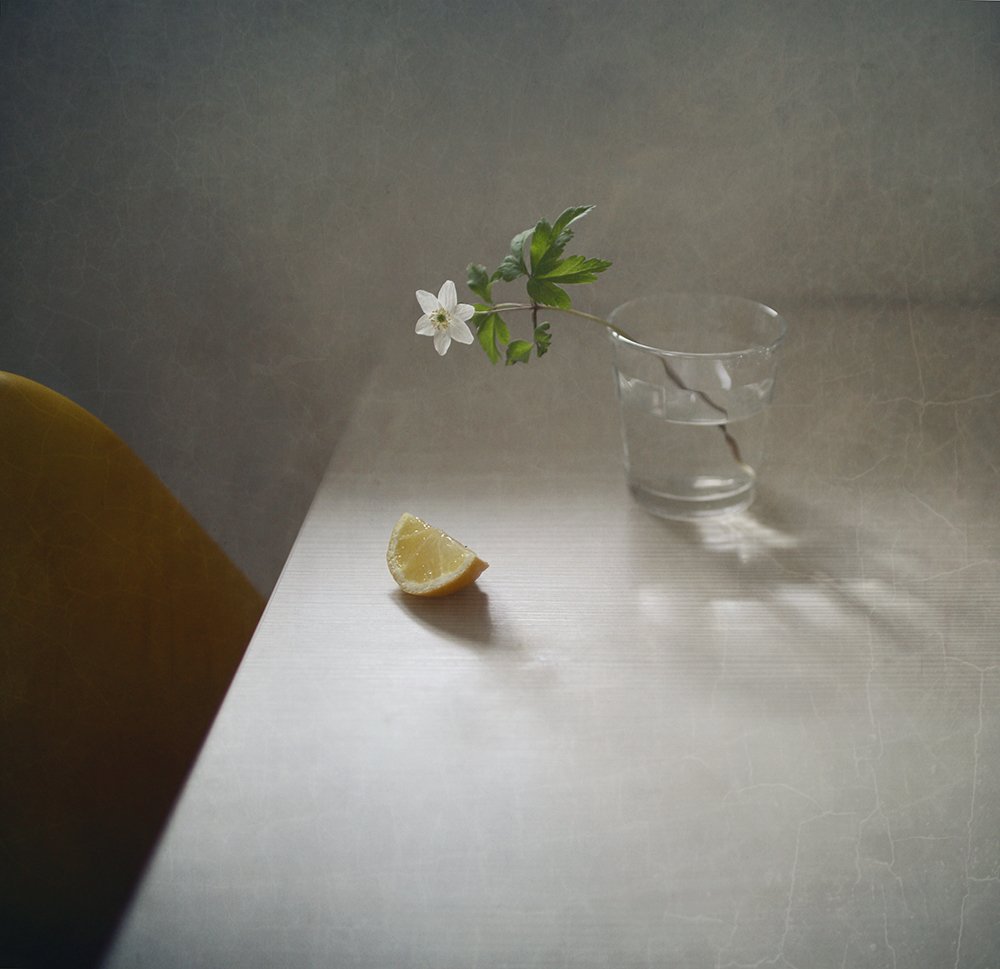 подснежник