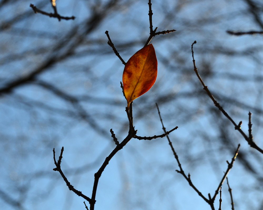 Одиночество