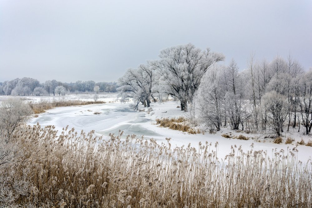 Зимний день