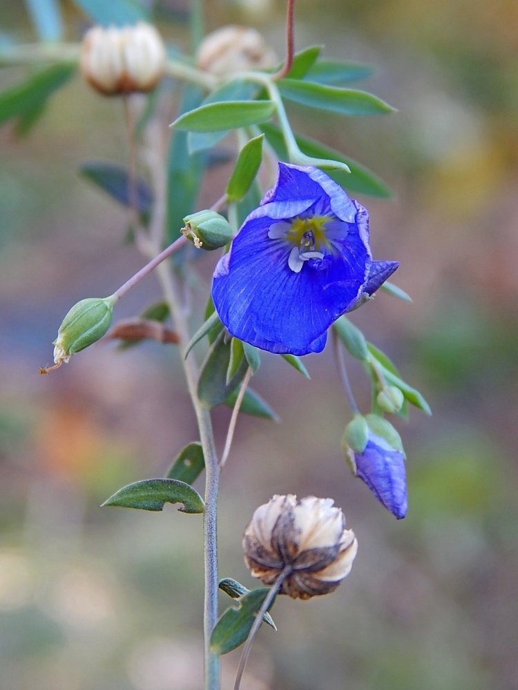 Photograph by Татьяна