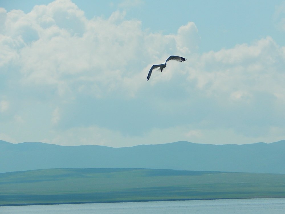 Photograph by Татьяна