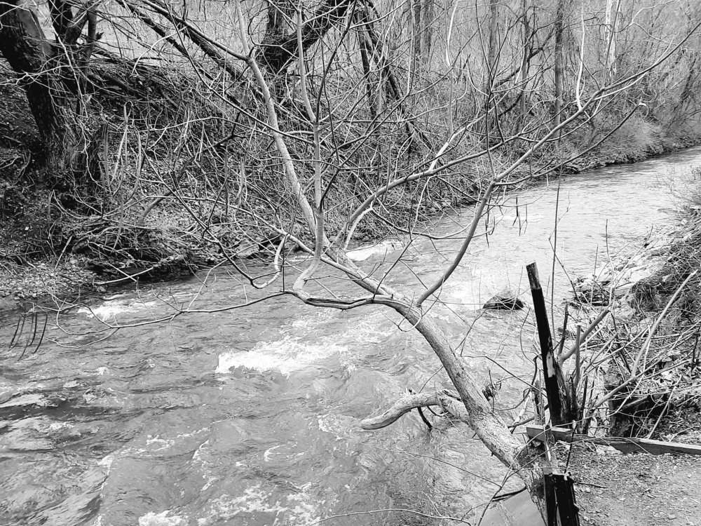 Photograph by Lindsay Fulmer