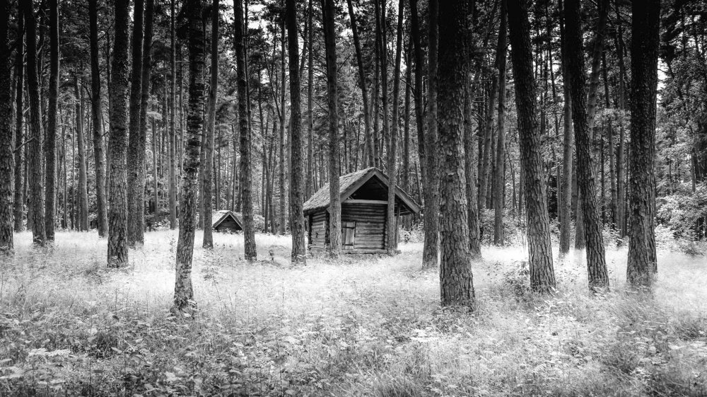 Photograph by Александр Забавка