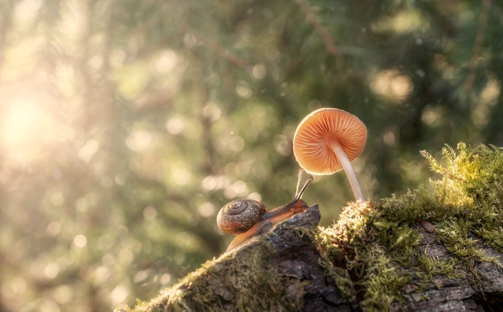 Photograph by Сергей Троицкий