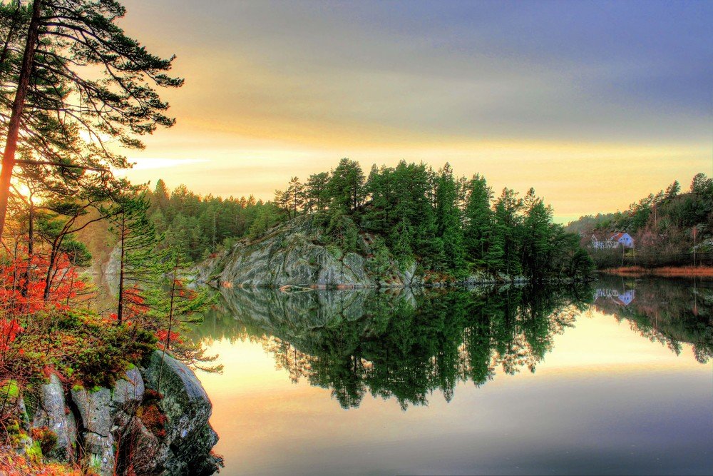 The mirror of nature