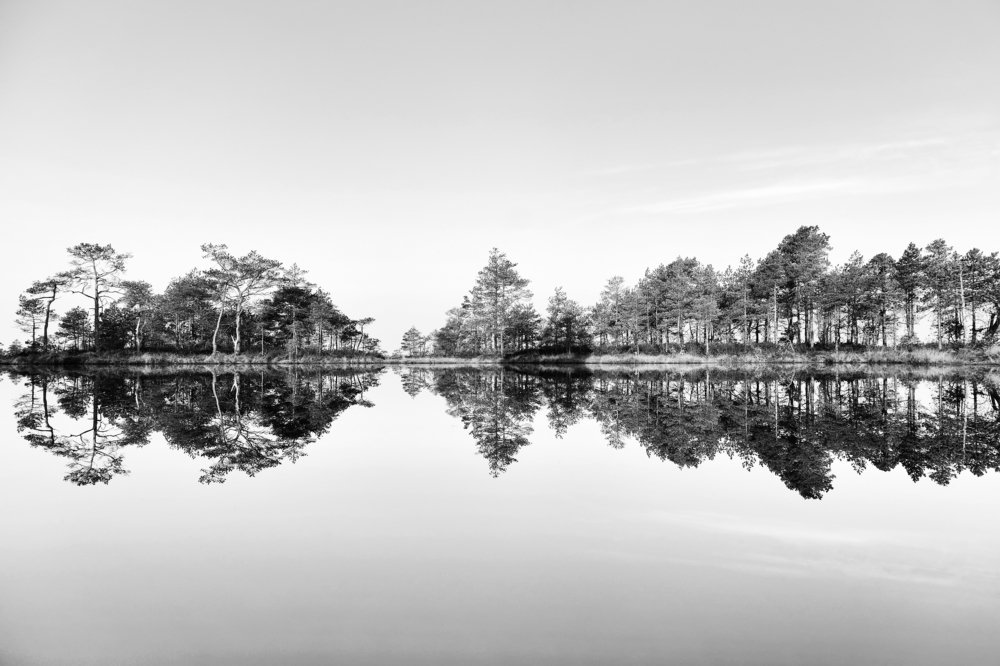 The sound waves of nature