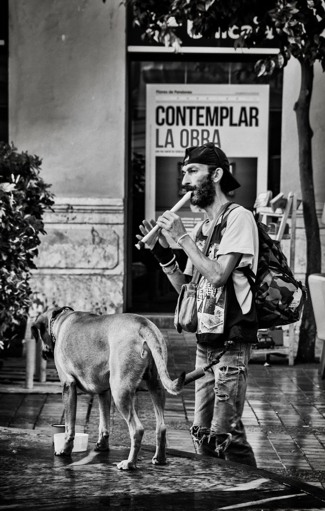 Photograph by Владимир Брагилевский