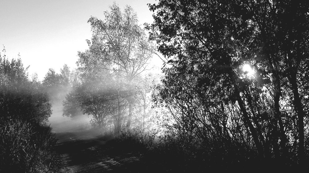 Утро лучистое