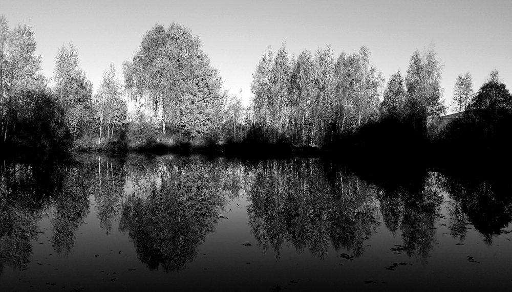 Лесной пруд осенью.