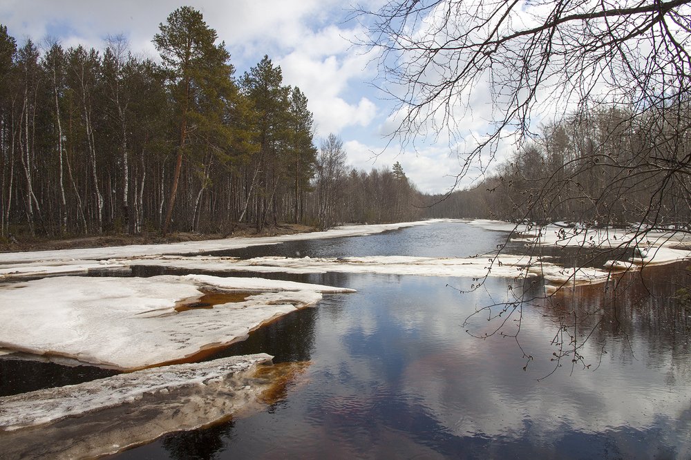 Весна пришла