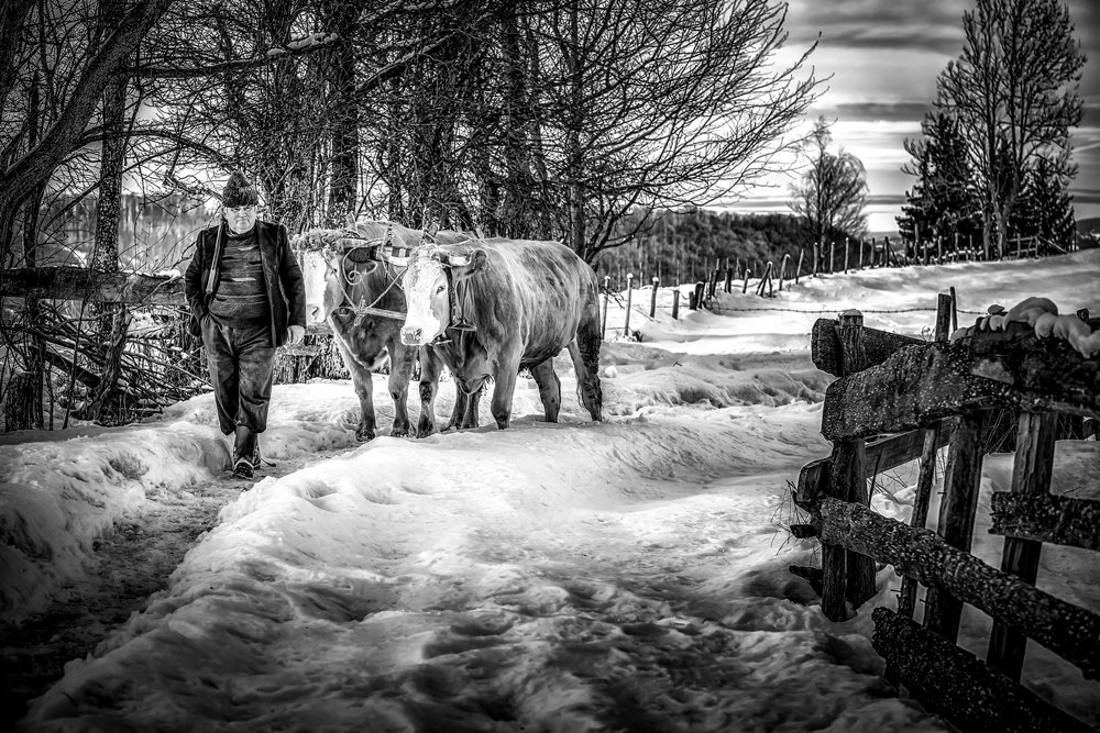 let's go to work reeditata 2